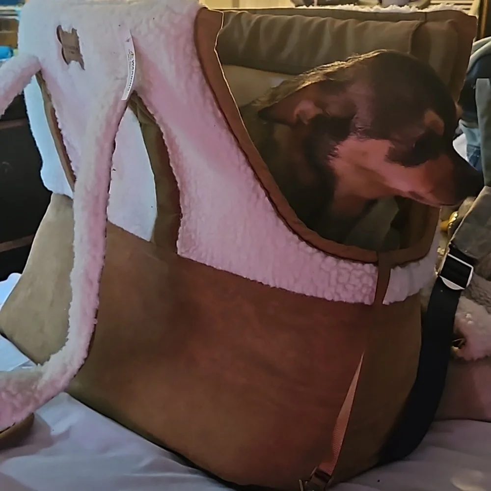 I got 2 bags and I like my LV better